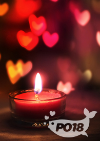 完美关系(兄妹,三角形爱情,双性,两男一女)