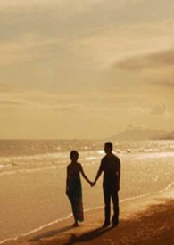 好爱你(婚后 高甜 高H)